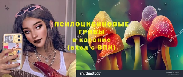 ешки Абинск