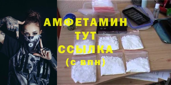 дмт Абаза