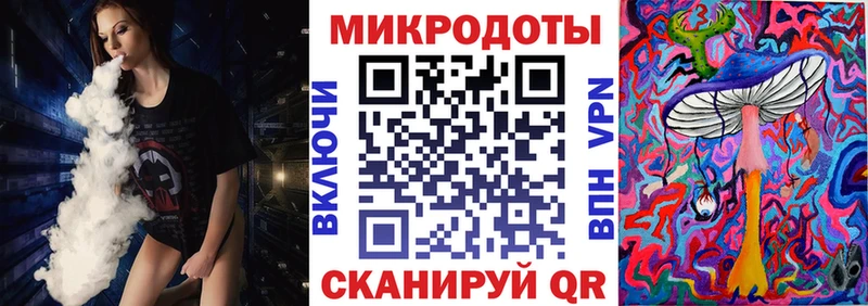 хочу Алатырь Псилоцибиновые грибы Psilocybine cubensis